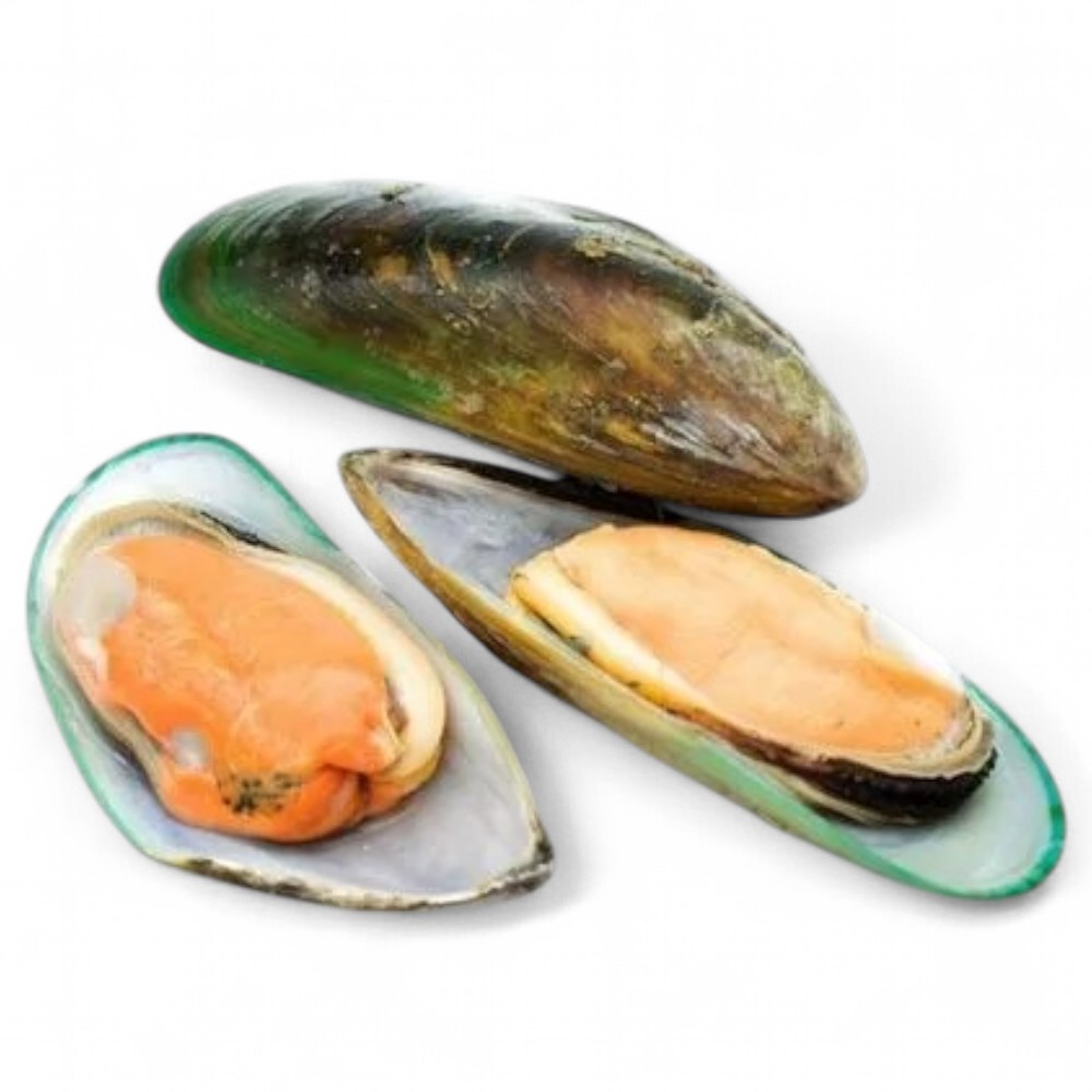 МИДИИ, В/М, В ПОЛОВИНКАХ РАКОВИН, 80/100