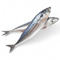 СЕЛЬДЬ свежемороженная 