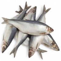 Сельдь 400+ с/г н/р сл/с вес