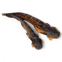 Сом филе ломтики с/к х/к 