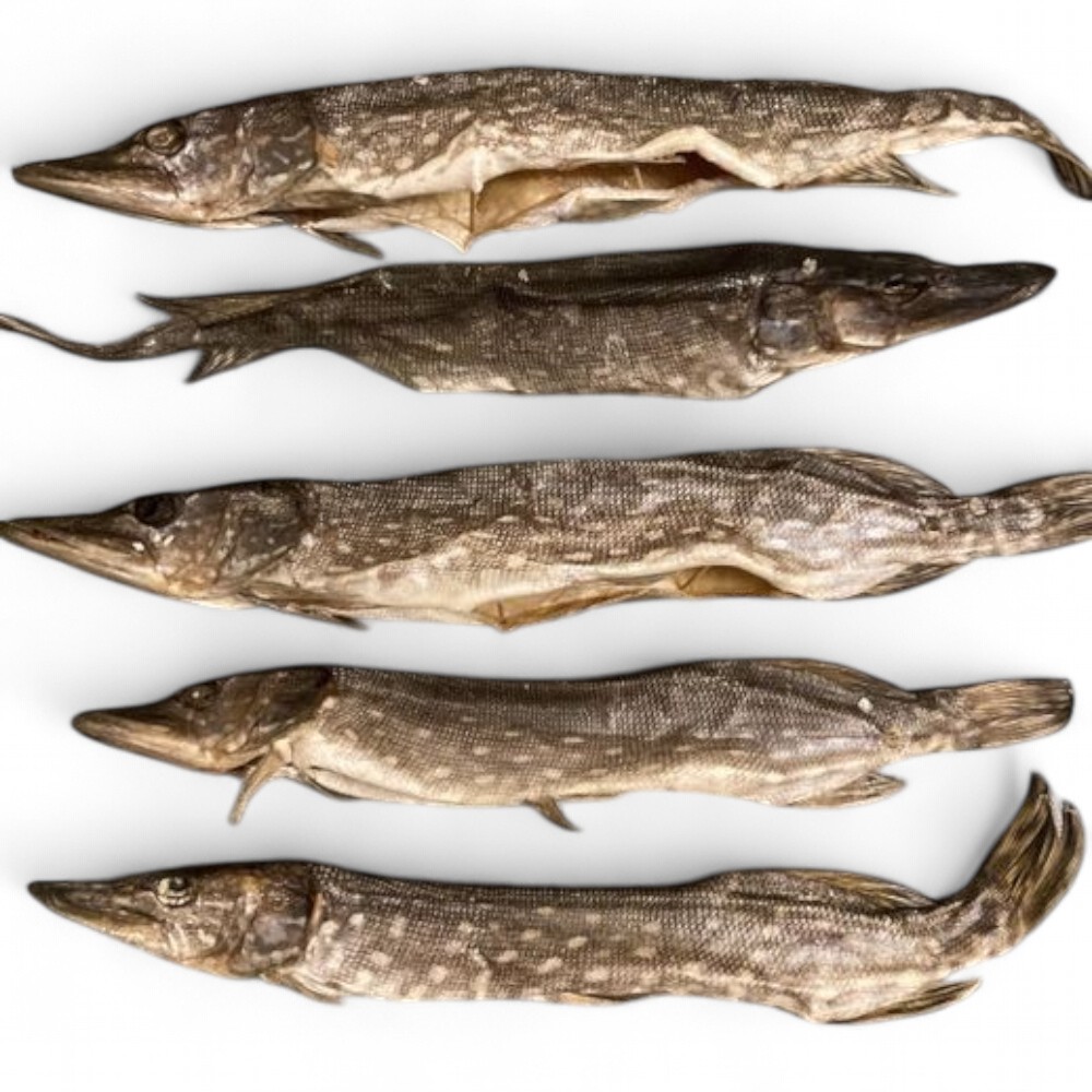 Щука вяленая