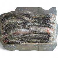 Сельдь 500+ н/р Олюторская 3х6кг