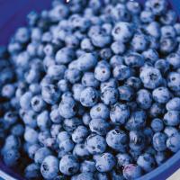 Черника с/м 1/10 кг