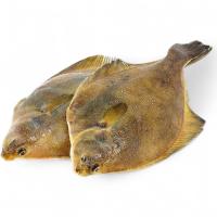 КАМБАЛА свежемороженная 