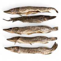 Щука вяленая н/р