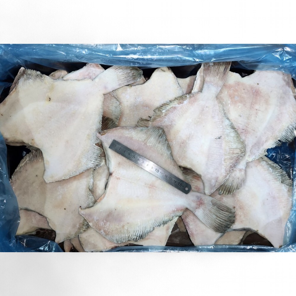 КАМБАЛА Мурманск свежемороженная 