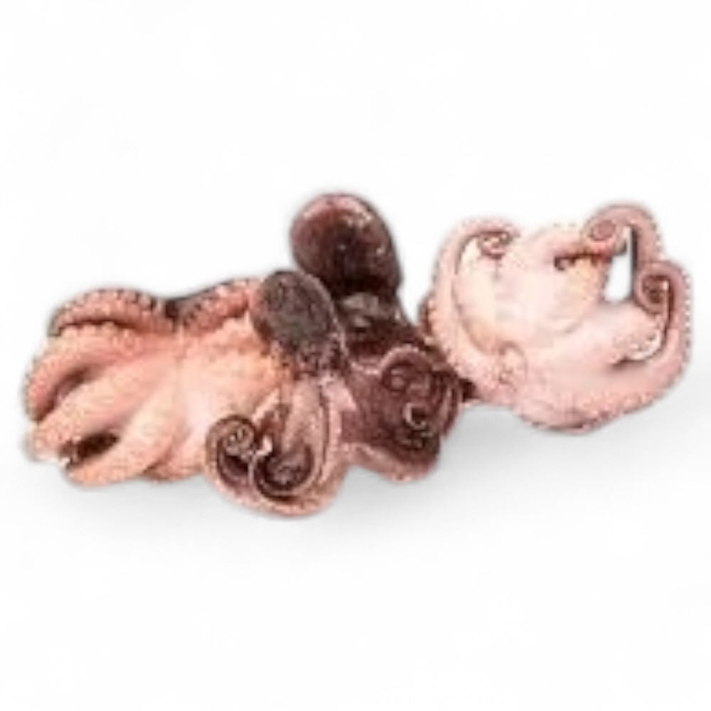 Осьминоги молодые 40/60 шт/кг, фас. 1кг (кор. 10кг) 1х10шт