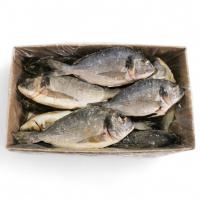 ДОРАДО провесная