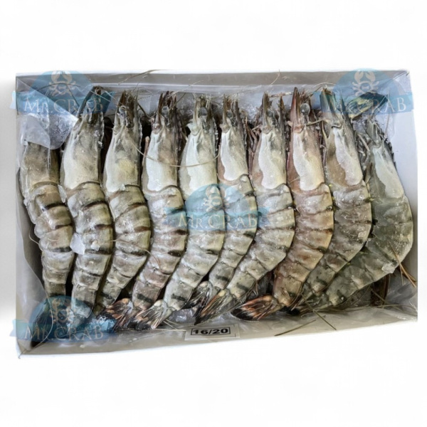 КРЕВЕТКА Тигровая, свежемороженная