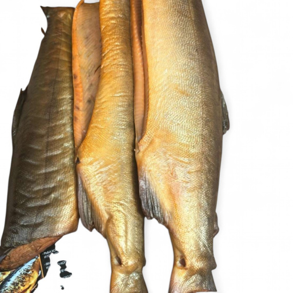 Теша форели х/к (2кг) Беларусь (КУБ)