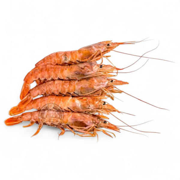 Креветка L2 21/30