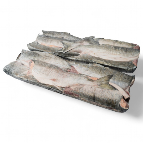 ГОРБУША не разделанная  