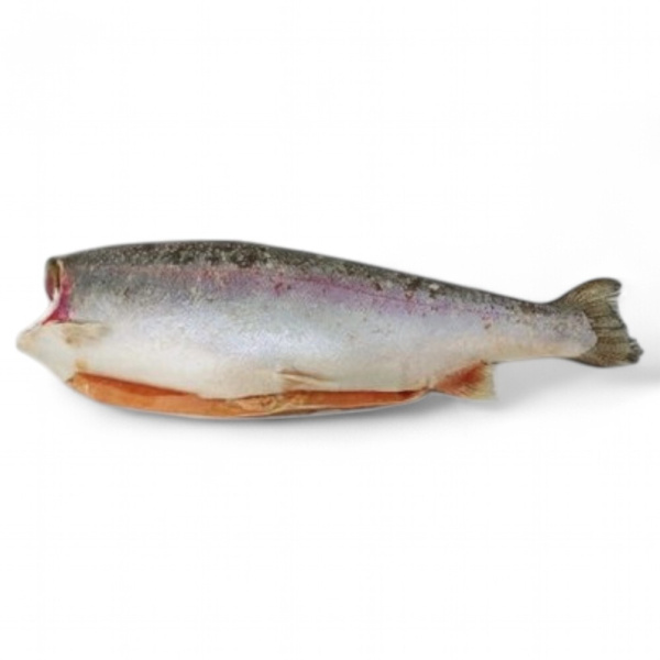 Форель Радужная без головы замороженная (2,7-3,6)