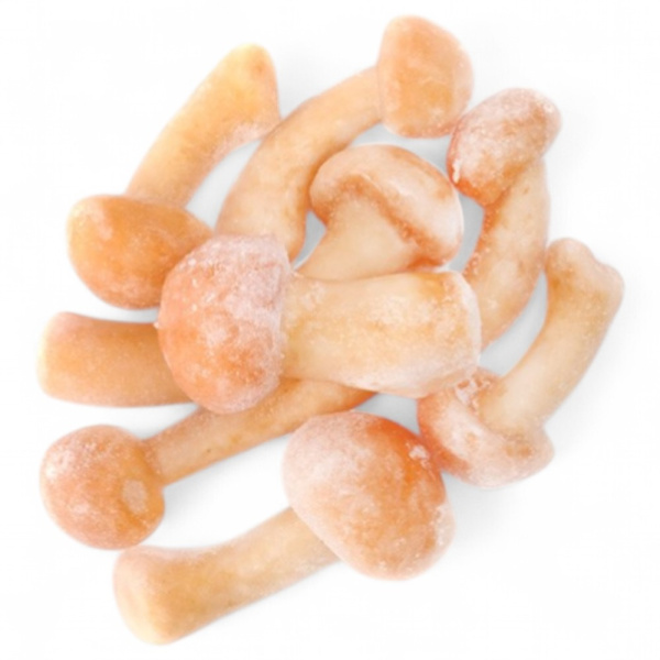 Грибы опята