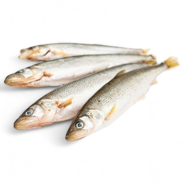 КОРЮШКА свежемороженная Аргентина