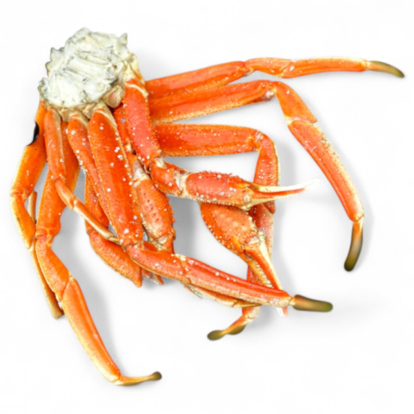 Отдельные конечности краба-стригуна