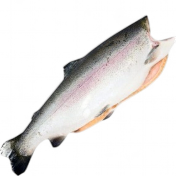 Форель PREMIUM