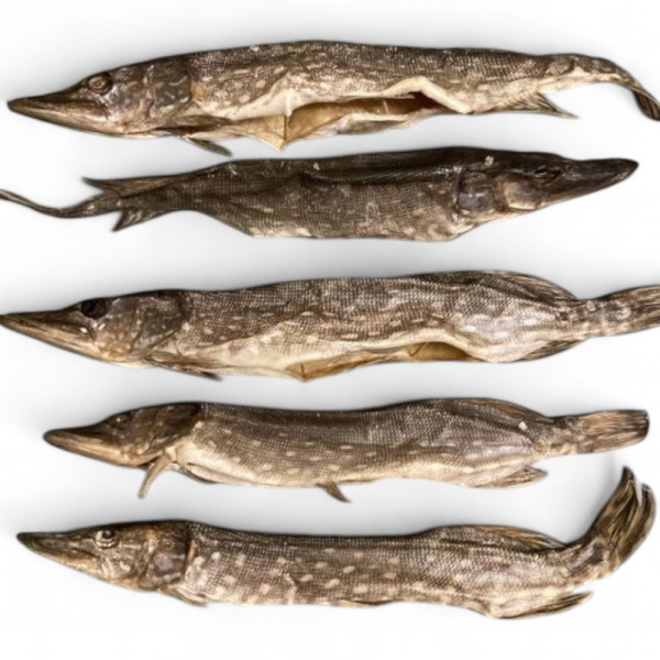 Щука вяленая