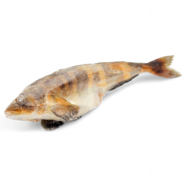 ТЕРПУГ тушка свежезамороженный 