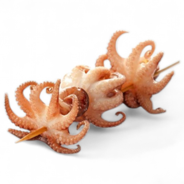 ОСЬМИНОГИ молодые