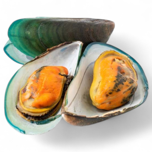 МИДИИ ЗЕЛЕНЫЕ, В ПОЛОВИНКАХ РАКОВИН, БЛАНШИРОВАННЫЕ, ЗАМОРОЖЕННЫЕ, 60/80