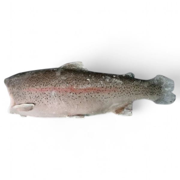 ФОРЕЛЬ стандарт