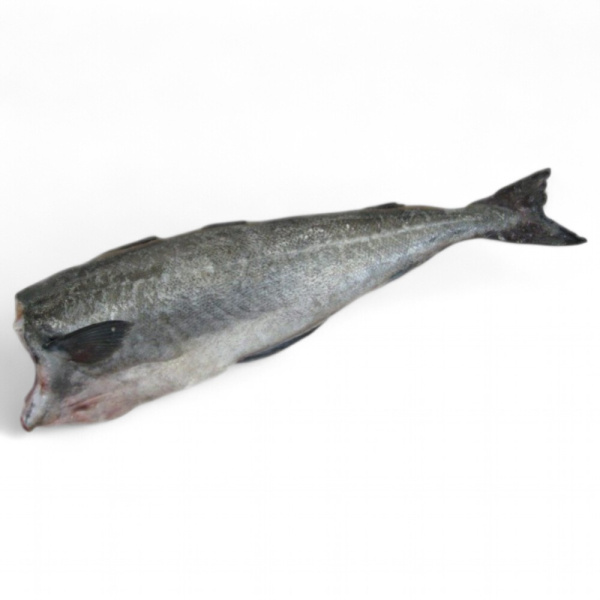 Сайда, ПБГ, 1-2кг