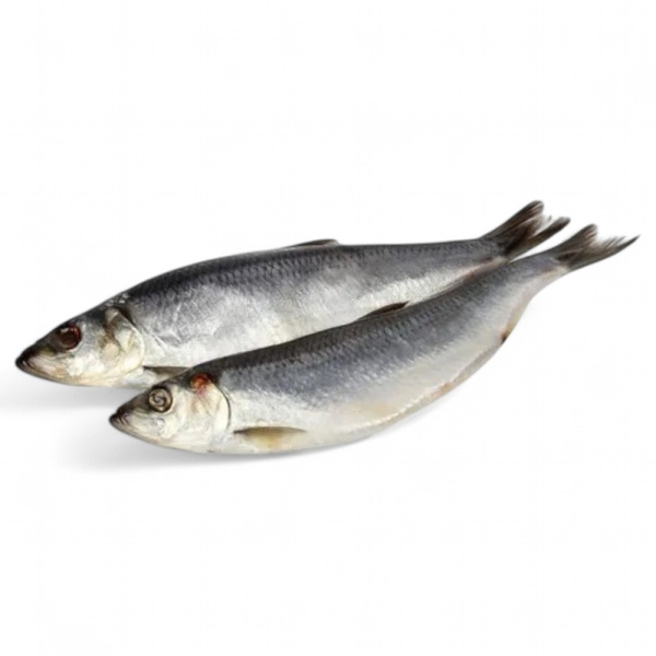 Сельдь слабосоленая